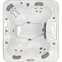 Спа бассейн Sundance Spas Camden